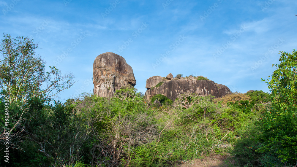 Nature in Yala National Park, Sri Lanka. Rock on a background of trees.