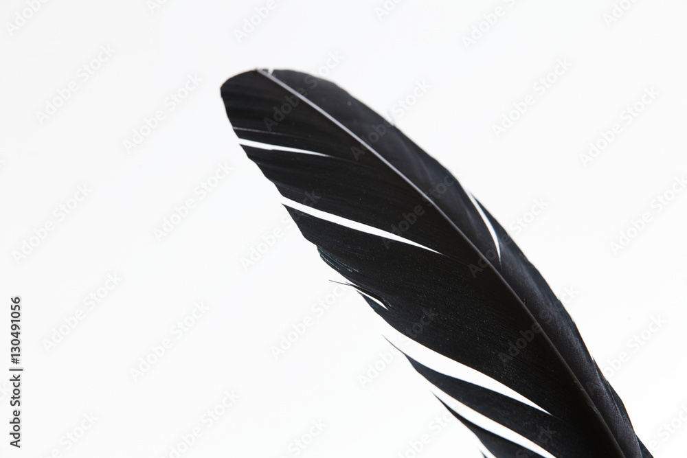 Feather Feather