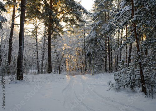 Small country road in winter with sunshine