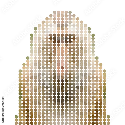 Thai Macaque monkey