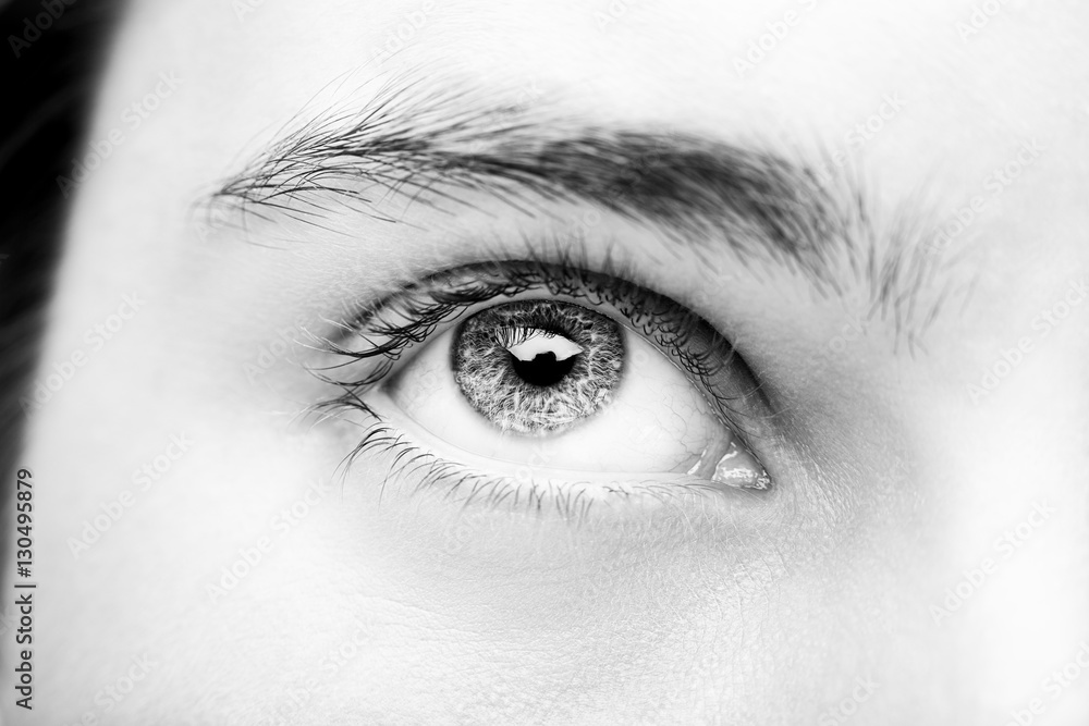 Close up image of insightful look human eye Close up image of insightful look human eye