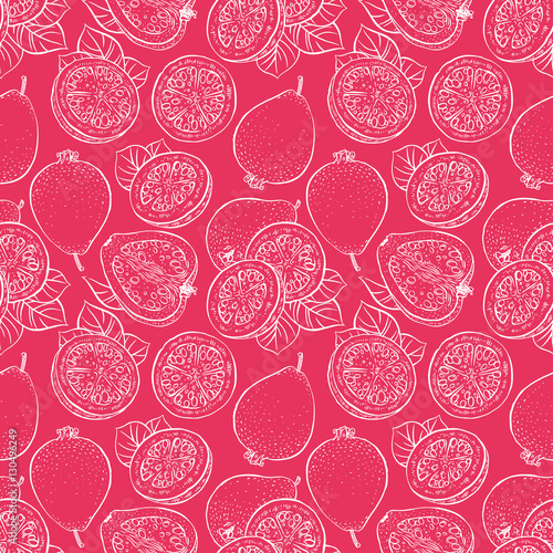 seamless ripe sketch guava