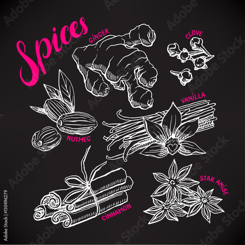 Set with hand-drawn spices