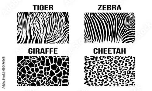 Black White Cheetah Giraffe Zebra Tiger Vector Skin Pattern