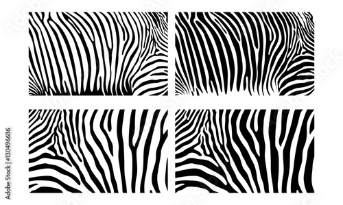 Black White Zebra Seamless Vector Skin Pattern Illustration