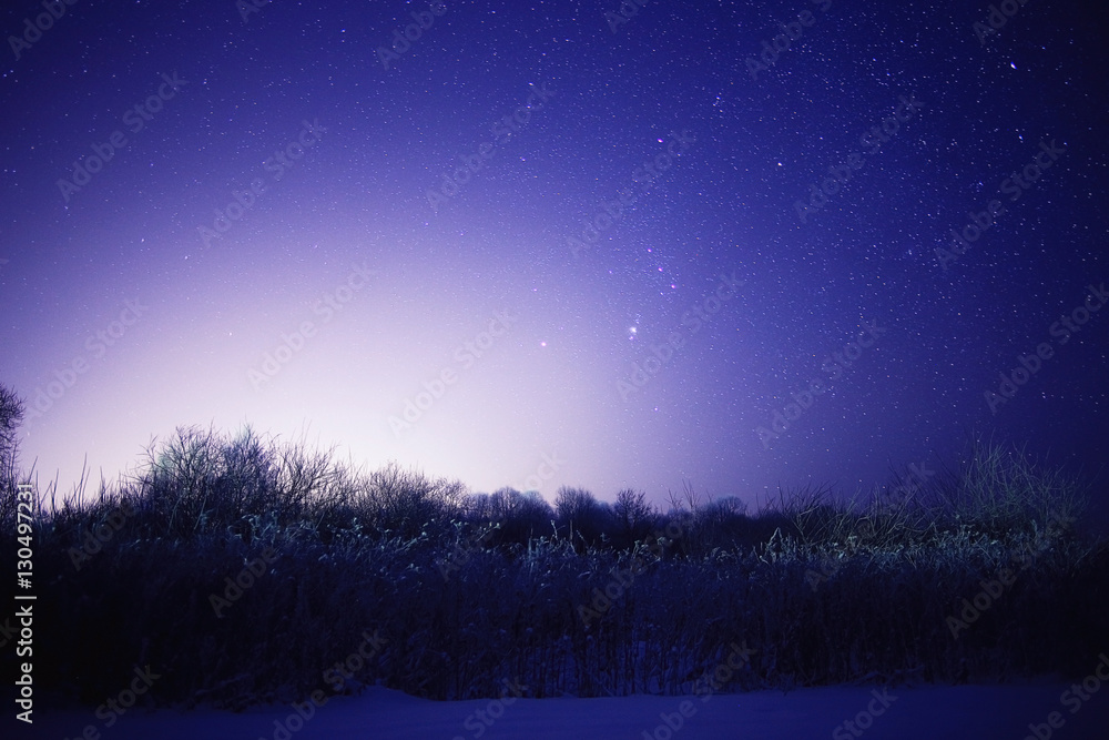 winter night photo