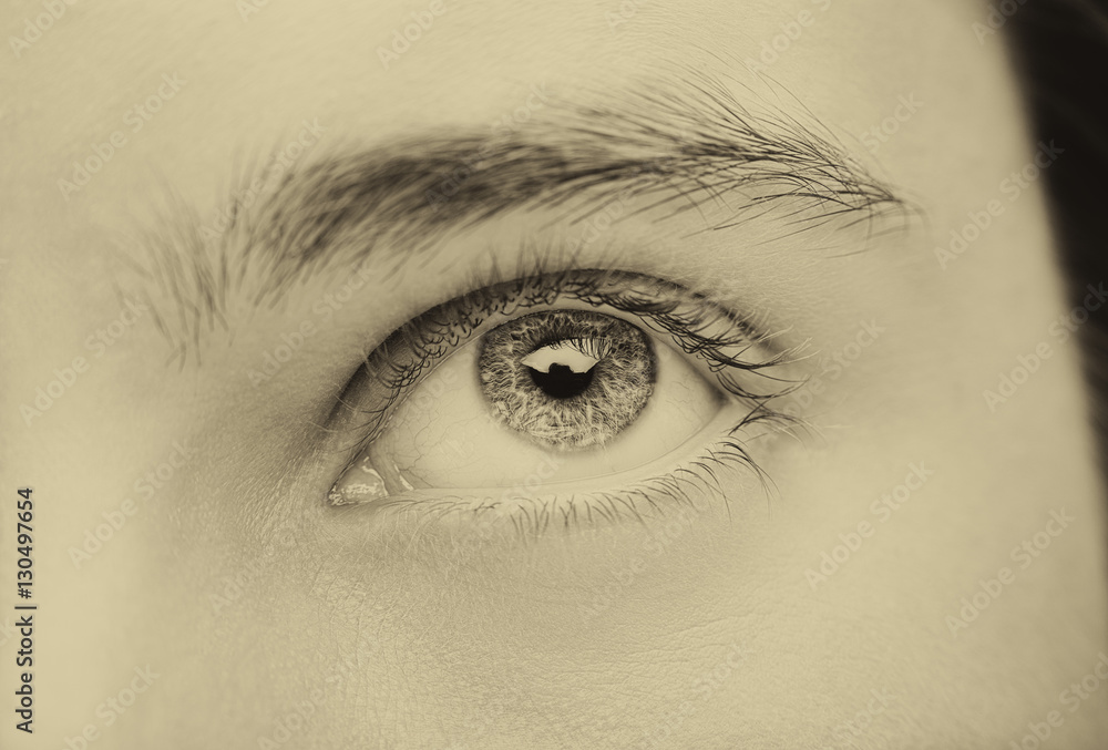 Close up image of insightful look blue human eye Close up image of insightful look blue human eye