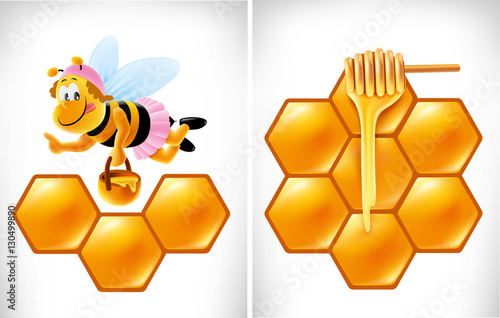 Fototapeta Naklejka Na Ścianę i Meble -  Honey food decorative icons set with bee honeycomb isolated vector illustration