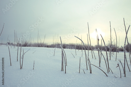 background texture of dry grass covered with hoarfrost