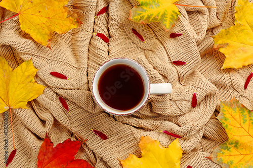 Cup of tea with autumn leaves on knitted plaid, top view