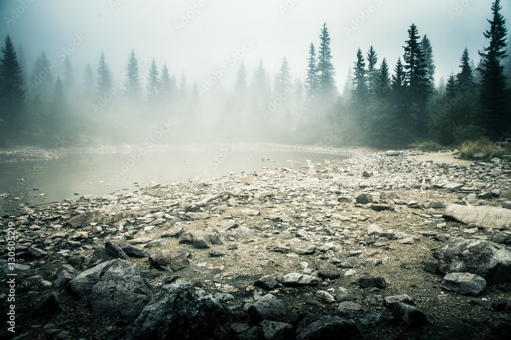Obraz premium A beautiful mountain lake in a fog in Tatry, Slovakia. Low saturation retro style