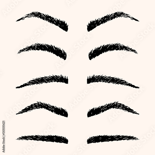 Types of brow vector illustration. Template hand drawing eyebrow