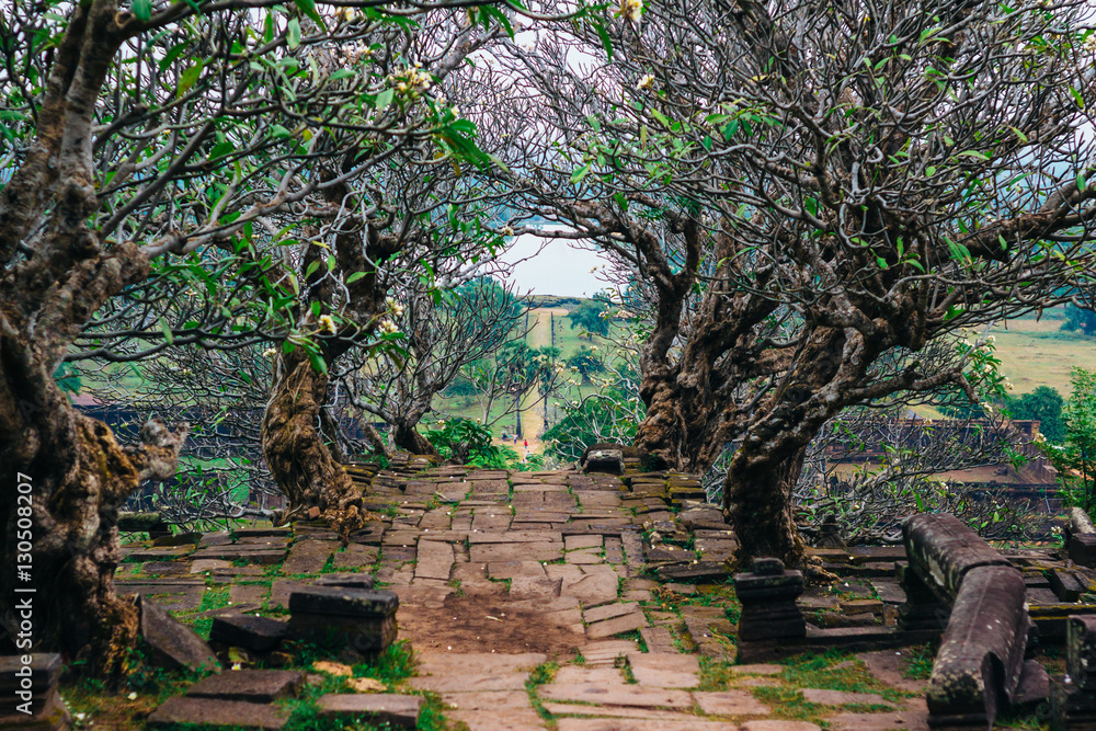Old stairway of Wat Phu (Vat Phou) ,the UNESCO world heritage site in Champasak, Southern Laos. Old stairway of Wat Phu (Vat Phou) ,the UNESCO world heritage site in Champasak, Southern Laos.