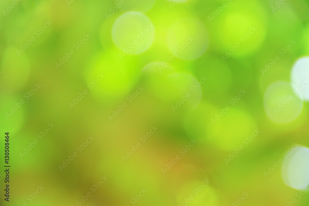 Obraz premium Bokeh natural color background, colorful leaf of the tree fresh