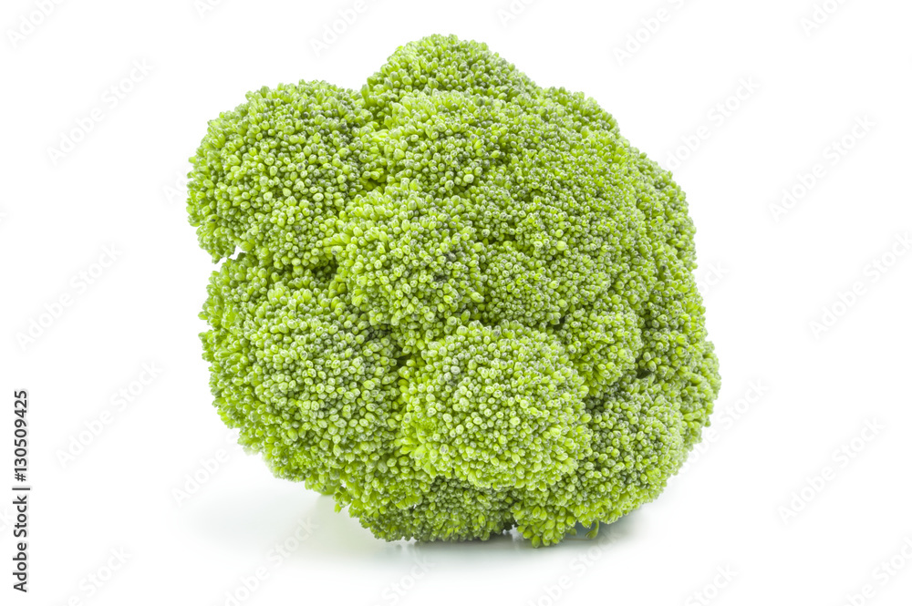 Fresh head of broccoli isolated on a white background cutout Fresh head of broccoli isolated on a white background cutout