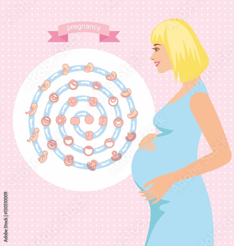 silhouette beautiful pregnant woman with hand on her stomach, holding stroking her bump.
 stages of fetal development. isolated on white background. Pregnancy. 