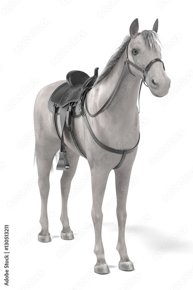 Fototapeta premium realistic 3d render of horse