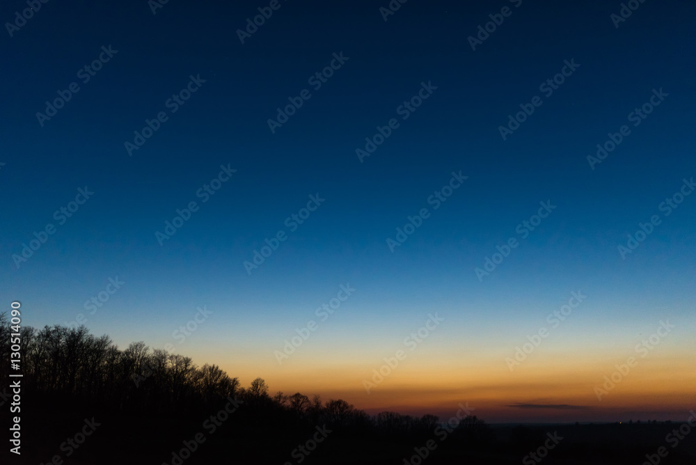 Fototapeta premium starry night sky with trees