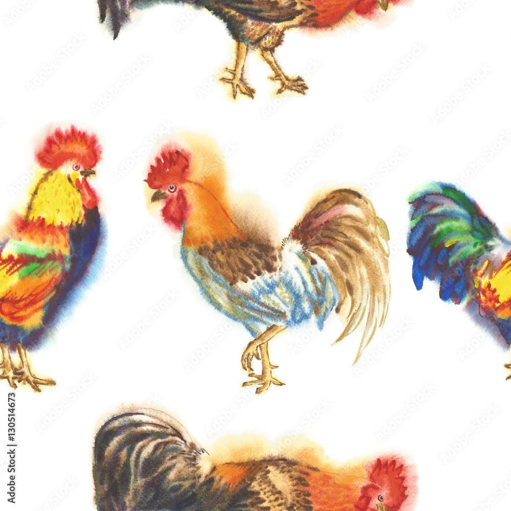 Watercolor Roosters. Hand drawn illustration