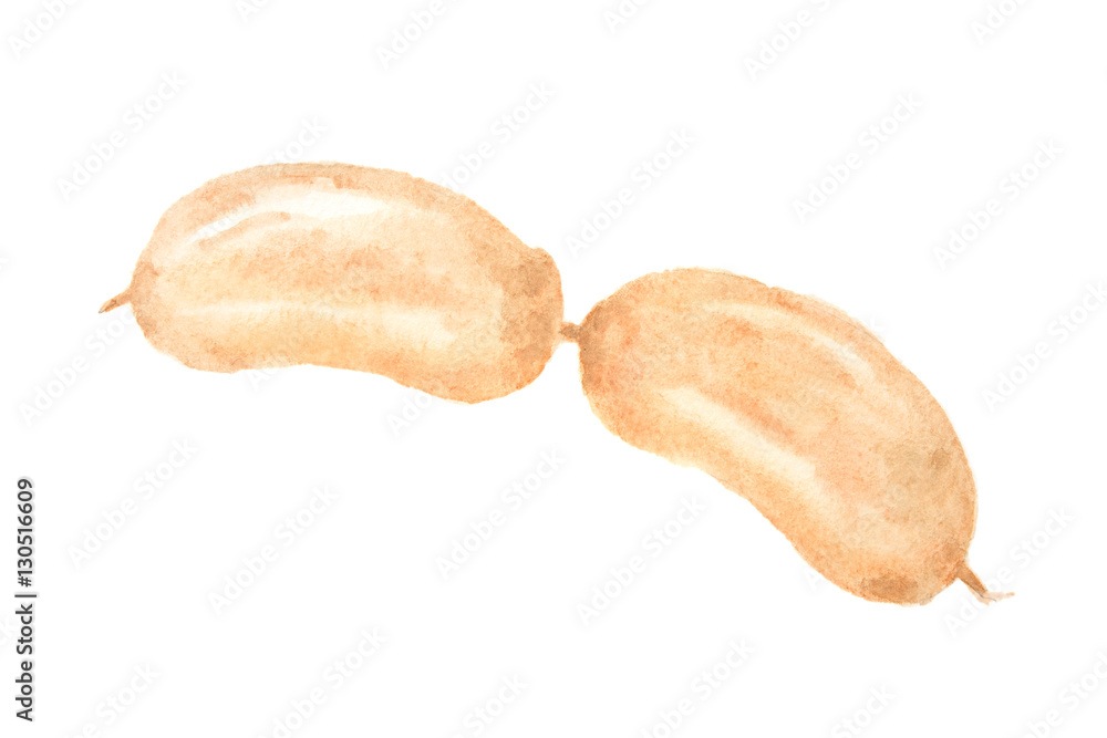 Isolated watercolor sausages on white background. Delicious and gourmet snack for restaurant and cafe. Isolated watercolor sausages on white background. Delicious and gourmet snack for restaurant and cafe.