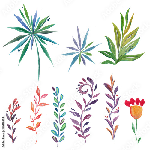 Watercolor set with tropical plants