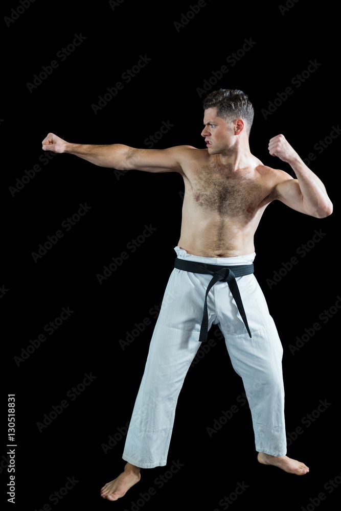 Karate fighter performing karate stance Karate fighter performing karate stance