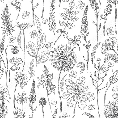 Seamless pattern with wildflowers