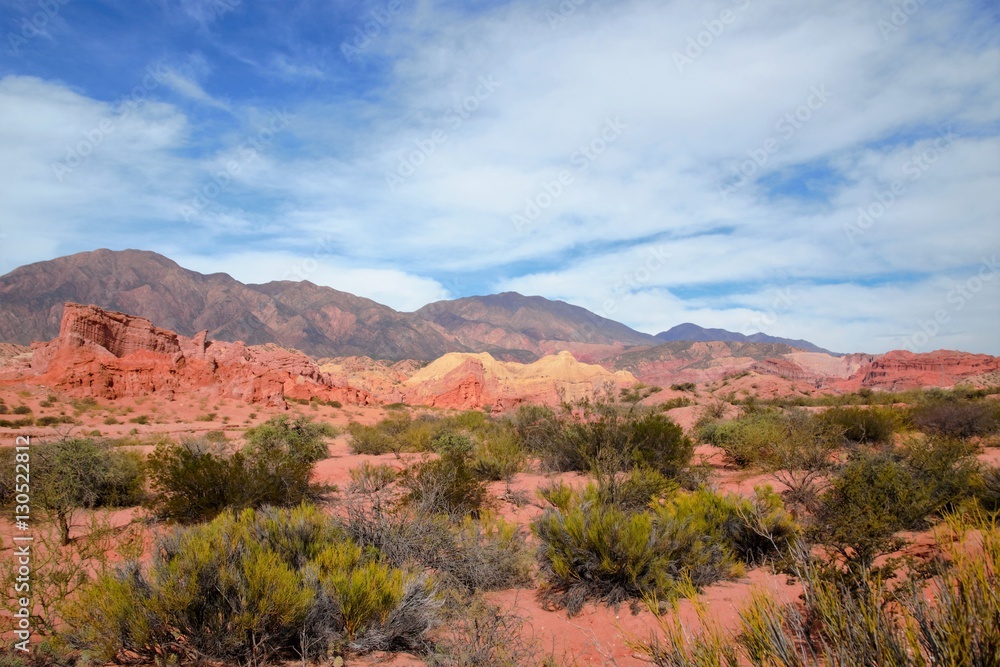 Impressions of the Canyon Quebrada de las Conchas with walls of rock displaying a multitude of red hues close to Cafayate in Chile, South America Impressions of the Canyon Quebrada de las Conchas with walls of rock displaying a multitude of red hues close to Cafayate in Chile, South America