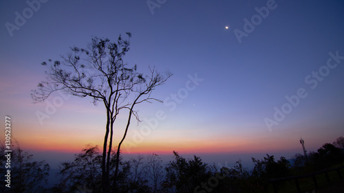 lonely tree with twilight sky sunset and sunrise time