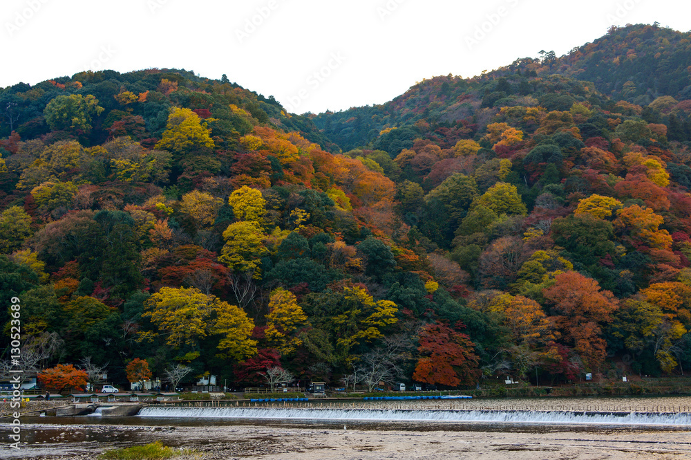 Katsura River and Mount Arashi in full autumn color in the Arashiyama district of Kyoto, Japan