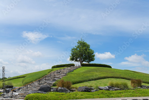 A Park at Royal Flora Park. The famous public park in chiangmai