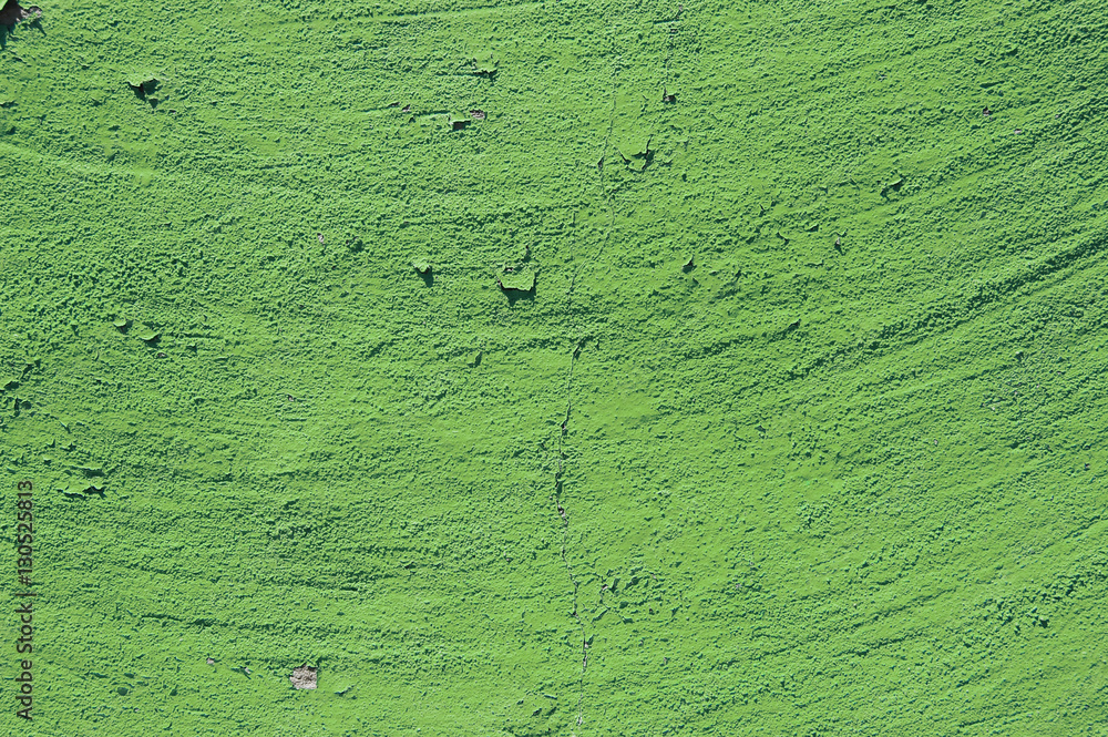 green grunge cement background. greenery, color of the year 2017. Pantone green grunge cement background. greenery, color of the year 2017. Pantone