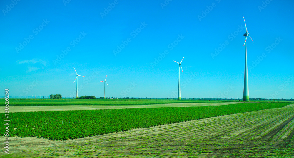 Wind turbines on the green field under blue sky