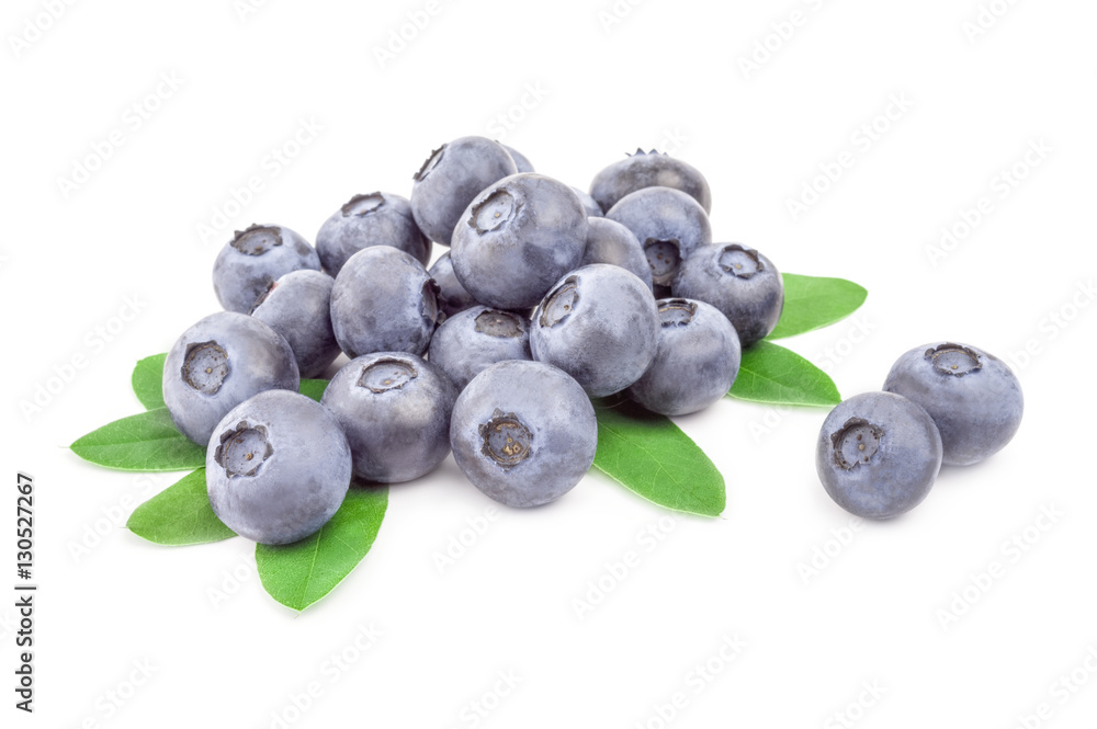 Bogbilberry isolated on a white background cutout Bogbilberry isolated on a white background cutout