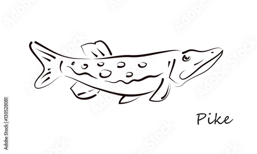 Pike