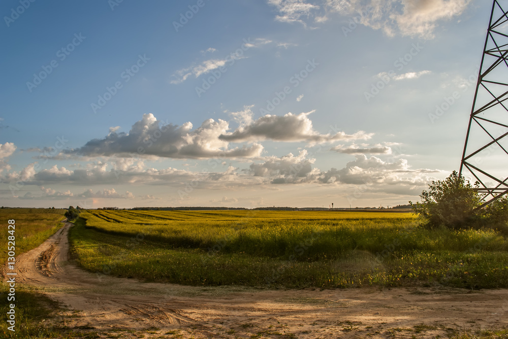 Fototapeta premium storm clouds over a green field 