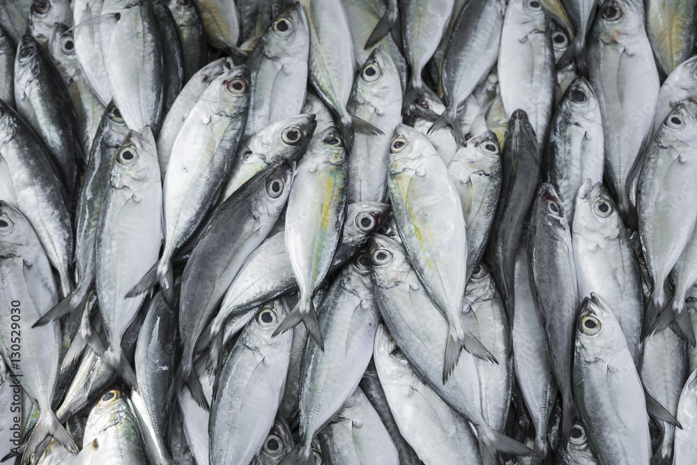 Fresh fish at local Sri Lanka market.