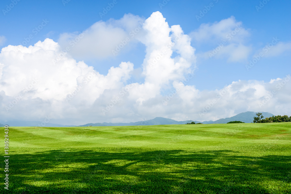 grass field background