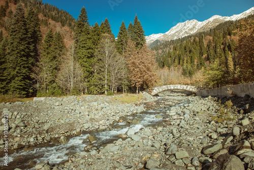 Mountain river in forest and mountain terrain photo