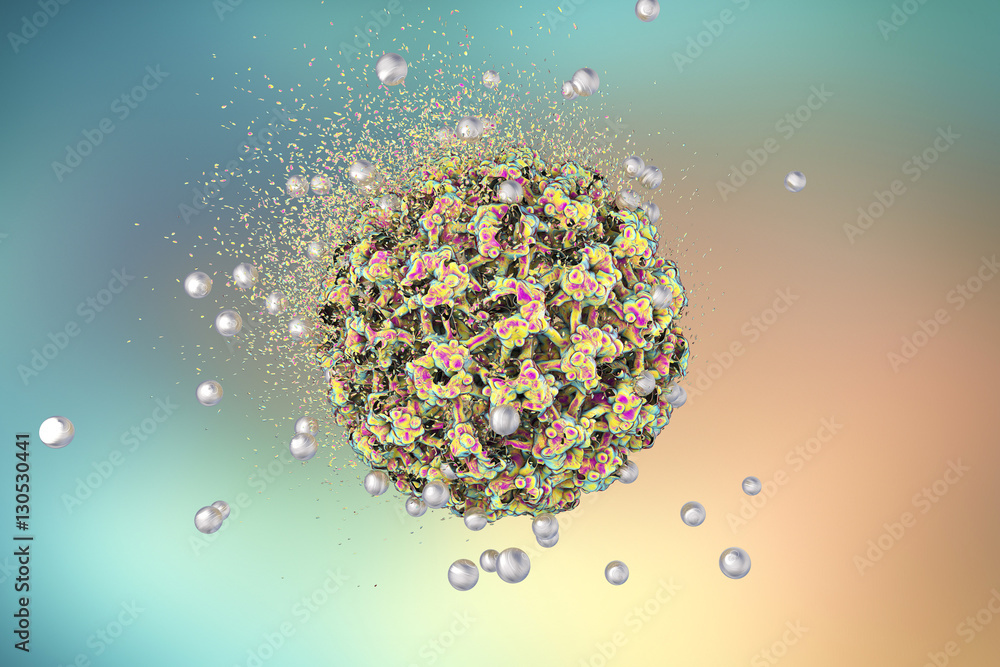 Destruction of Human Papillomavirus by silver nanoparticles, 3D ...