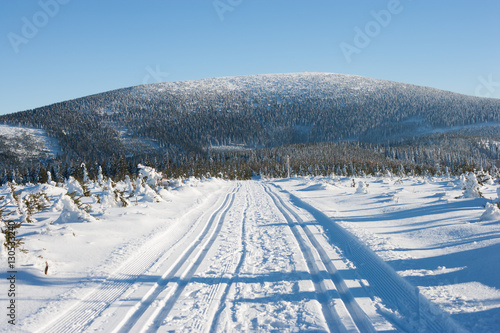 Droga przez Żmijowiec z widokiem na Śnieżnik, Kotlina Kłodzka