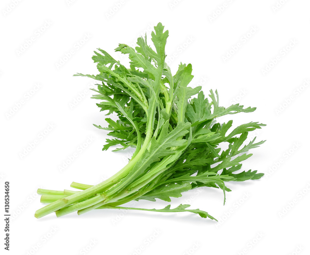 edible chrysanthemum leaf isolated on white