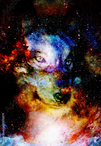 Fototapeta Naklejka Na Ścianę i Meble -  magical space wolf, multicolor computer graphic collage