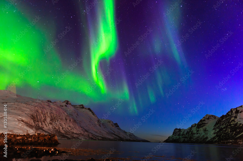 The polar lights in Norway . Ersfjord. Tromso