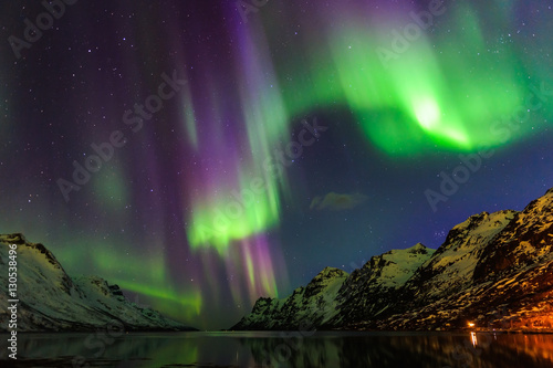The polar lights in Norway . Ersfjord. Tromso photo