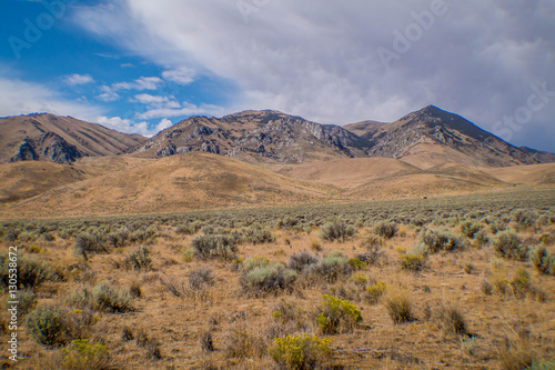 Northern Nevada Landscape