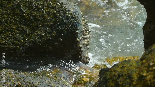 Waves rolled through coastal cliffs photo