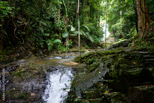 Small river in tropical rainforest