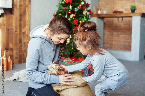 children  sister take out a dog gift for Christmas. 