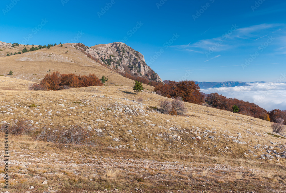 Autumnal landscape on Babuhan Yaila natural reserve, Crimean peninsula